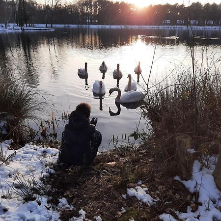 Waterlelie 34 Rekem Villa Dış mekan fotoğraf
